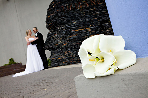 140 IMG_7764
