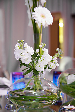 018 IMG_4420 L