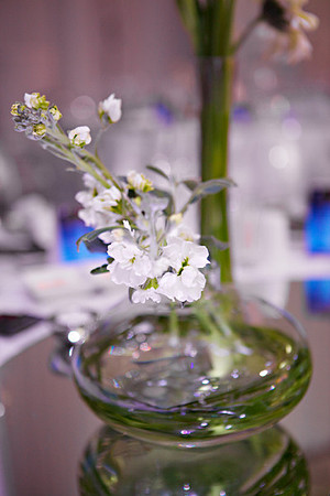 033 IMG_4526