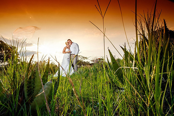 459 DSCF9403