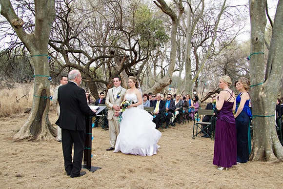 205 IMG_4262